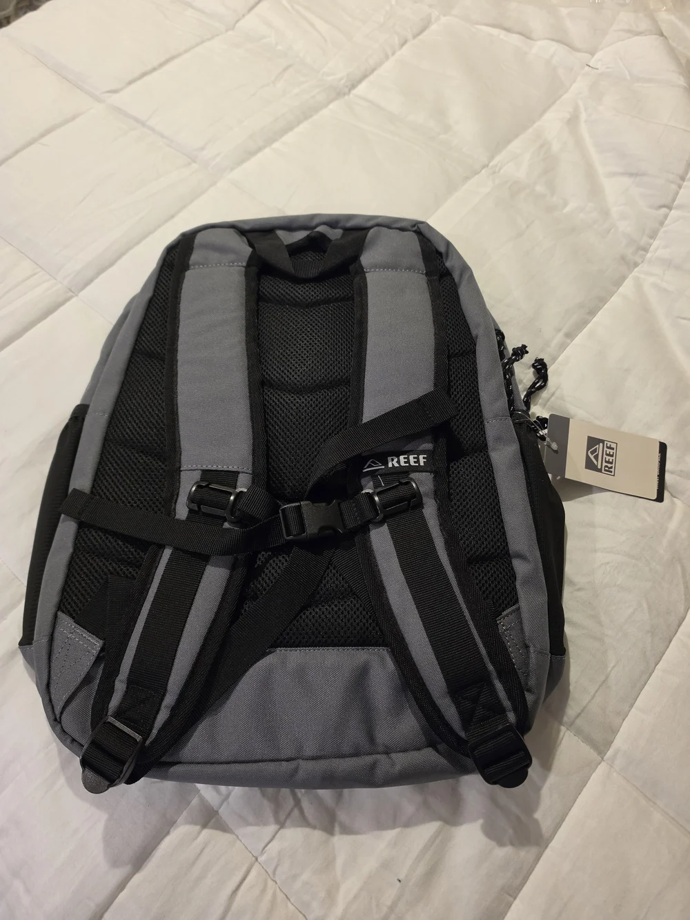 REEF Gray Everyday Backpack